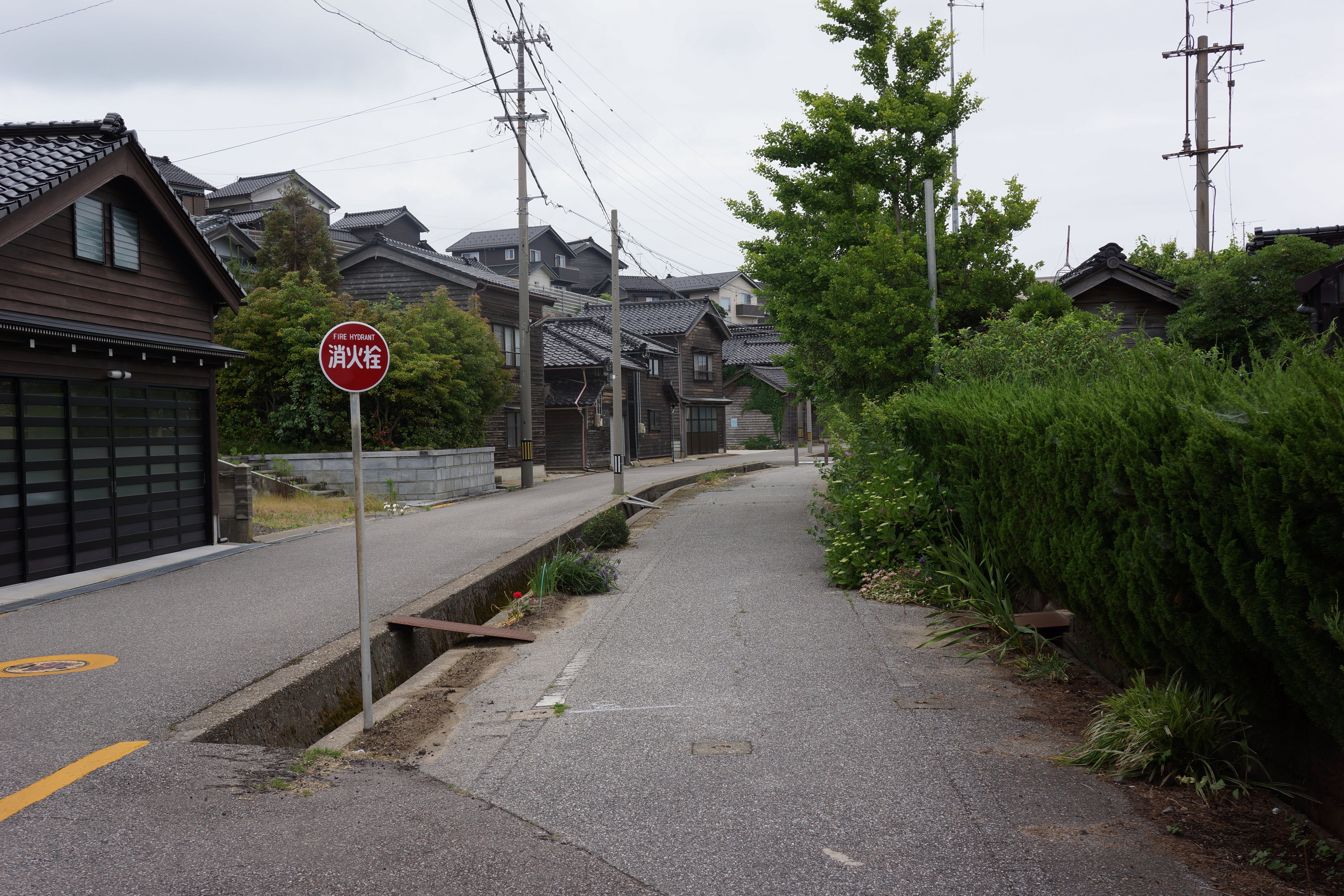 右側が線路跡