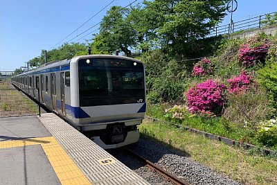 E531系